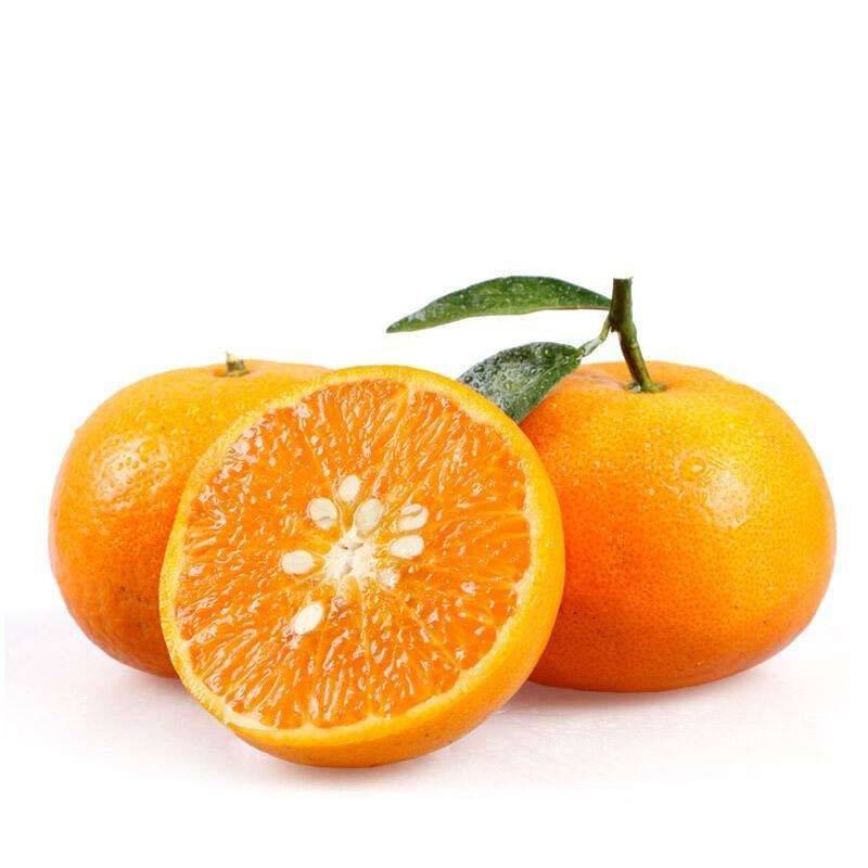 春季如何排毒養生 春季養生妙招推薦