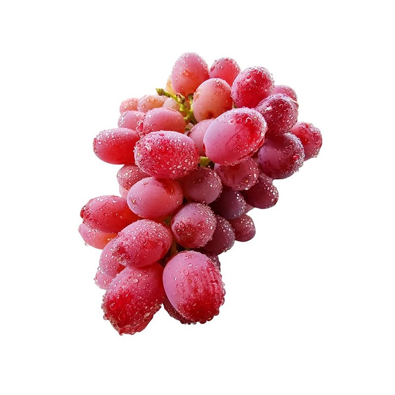 春季應多食山藥紅棗可健脾祛濕早春