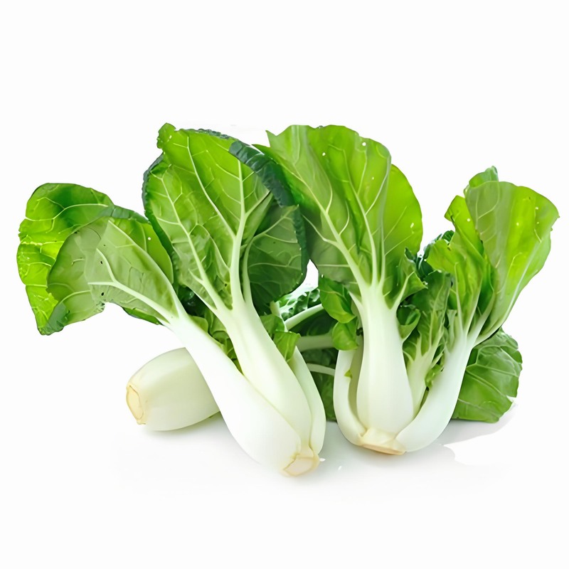 春初當食蔥早春