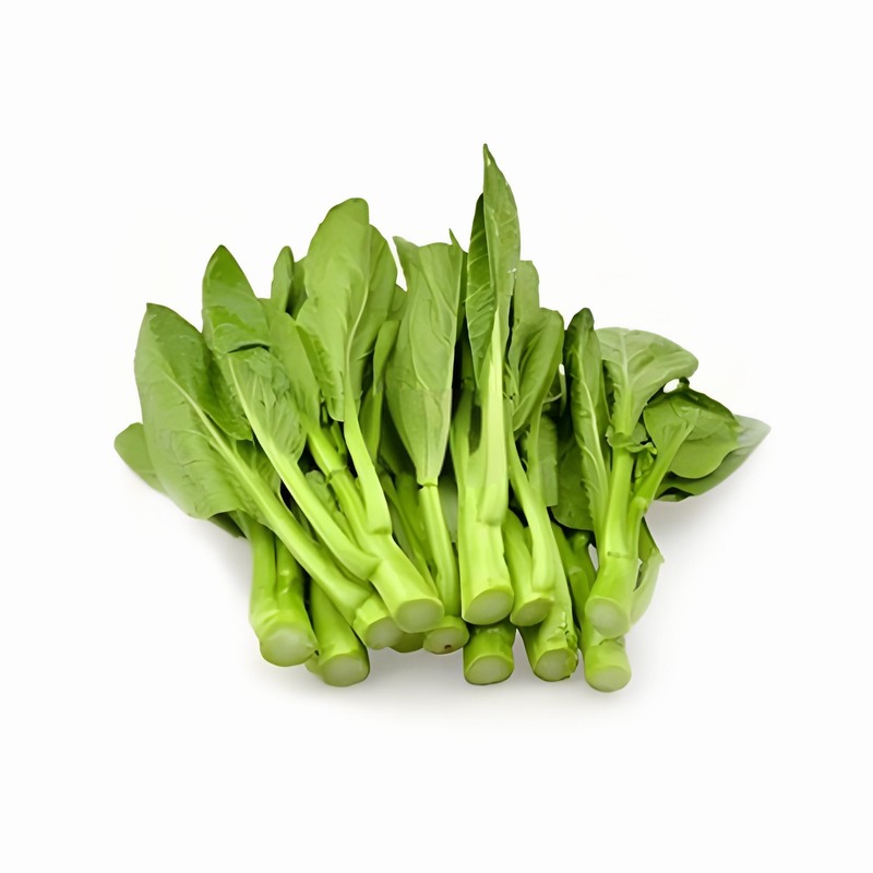 春分時節(jié)9種不同體質的養(yǎng)生早春
